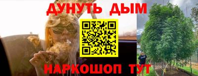 прущие крисы Лесосибирск