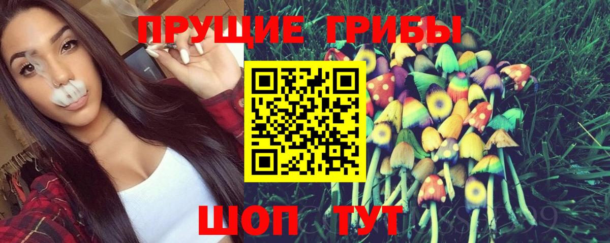Галлюциногенные грибы GOLDEN TEACHER Ростов-на-Дону