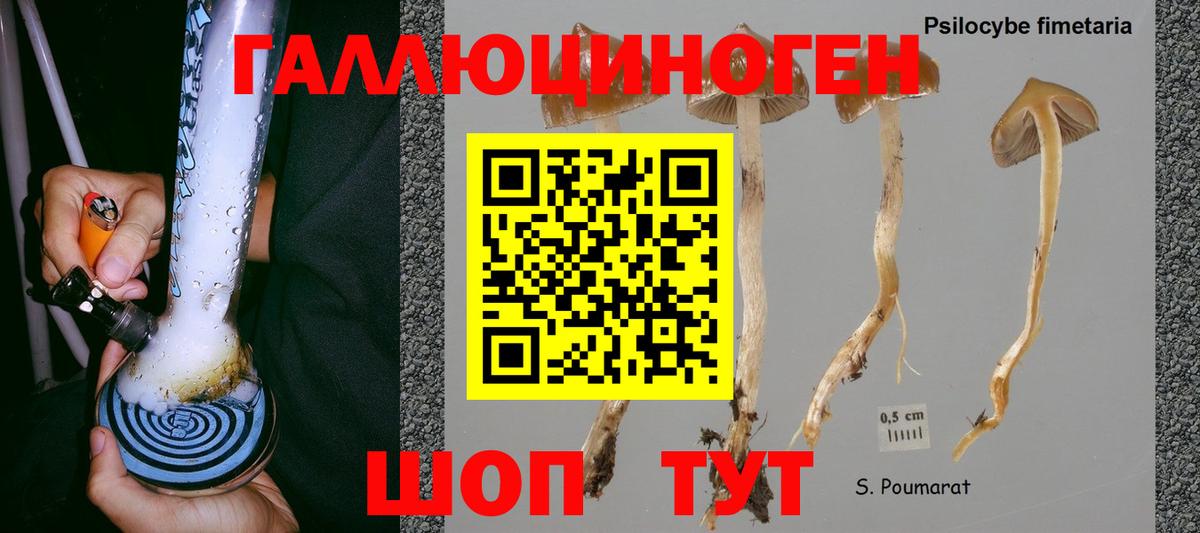 Ростов-на-Дону  Галлюциногенные грибы Magic Shrooms  как найти наркотики  Галлюциногенные грибы GOLDEN TEACHER  Вход с VPN 