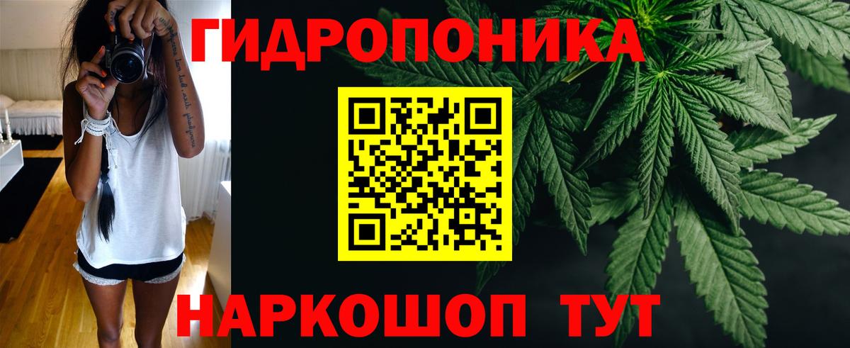 Канабис OG Kush  Вход с VPN  Ростов-на-Дону  Каннабис гибрид 